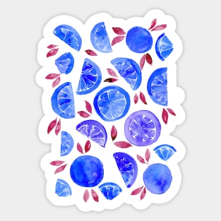 Watercolor grapefruit - funny blue Sticker